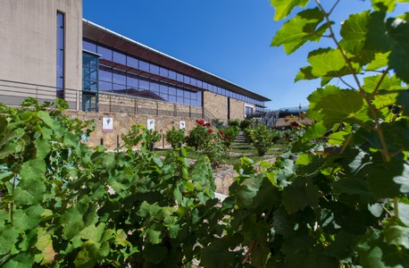 Visite de la Cave de Labastide 
