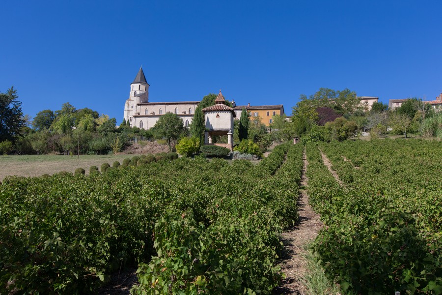 Guide des vins du Tarn et de Gaillac 