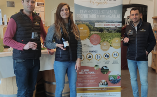 Cuvée Labastide Vignoble - Maison Labastide 